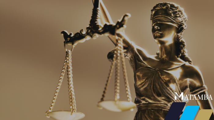 Contencioso Societário